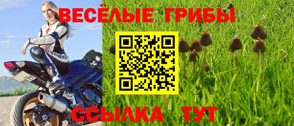 Псилоцибиновые грибы MAGIC MUSHROOMS Лениногорск